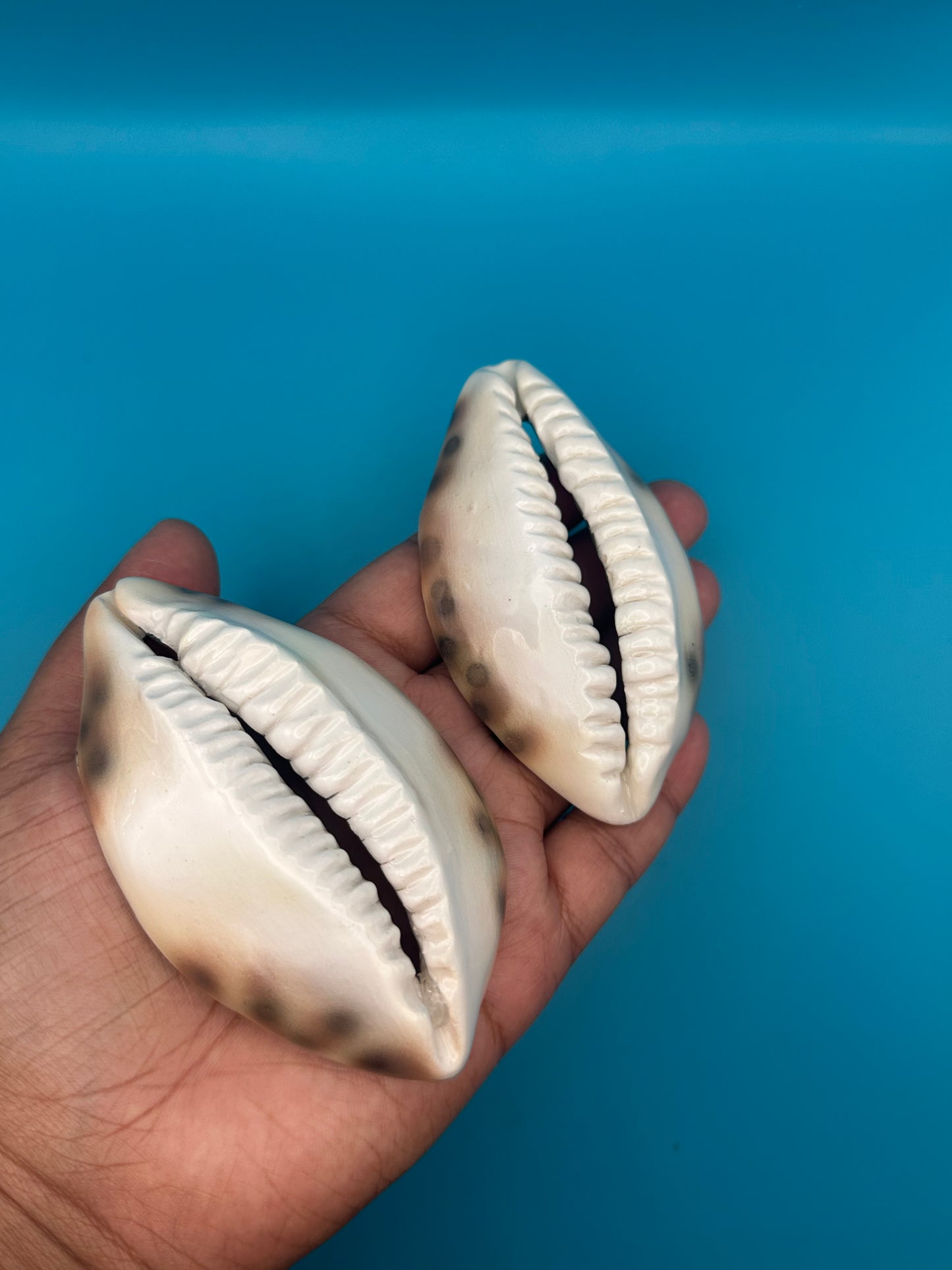 Cowrie