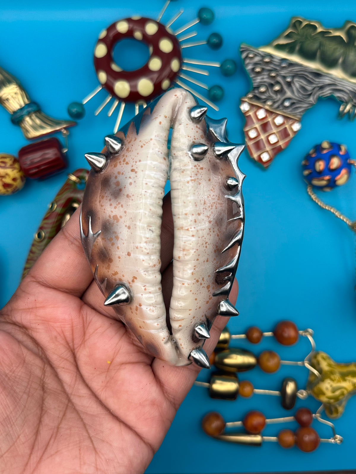 Spiked cowrie