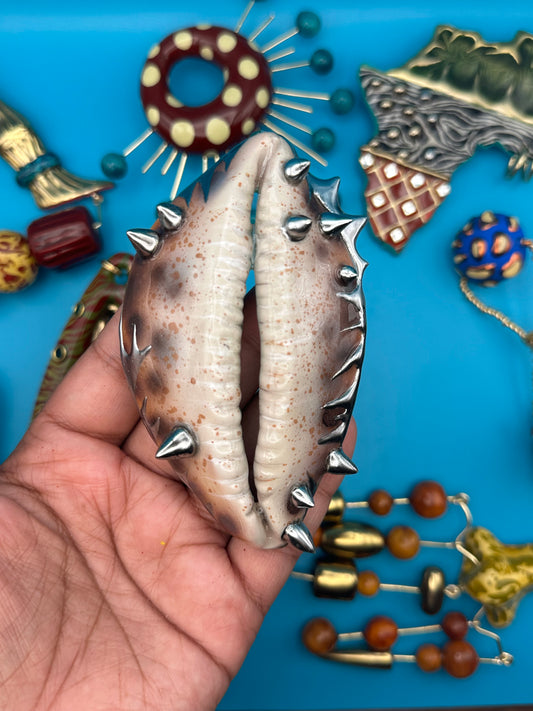 Spiked cowrie