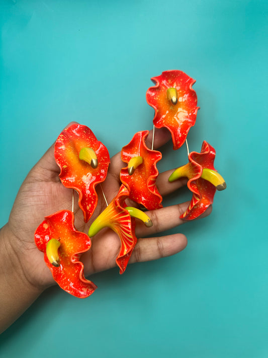 Callas