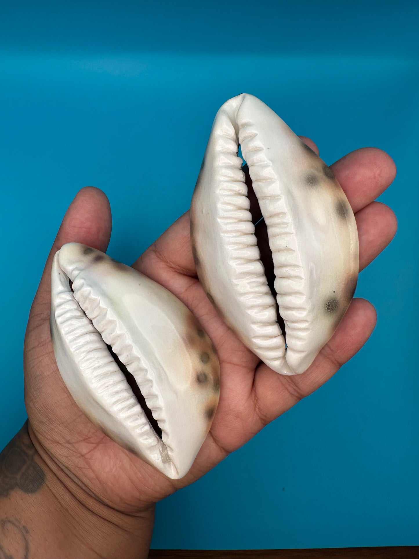 Cowrie